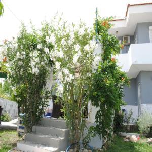 Karmik Concept Apartments Afando Esterno foto